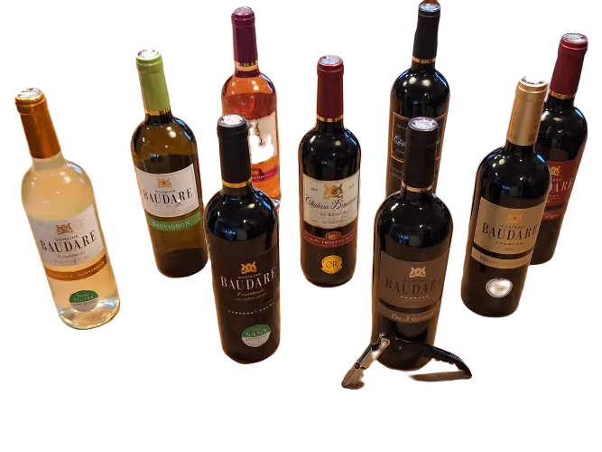 Carton Fronton Découverte