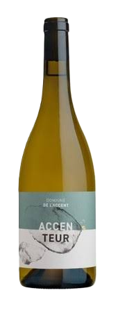 IGP Saint Guilhem le Desert Blanc "Accenteur" blanc (Domaine de l'Accent) 2023