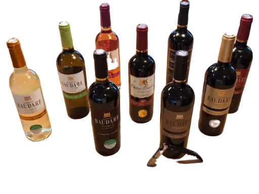 [C6Fronton01] Carton Fronton Découverte